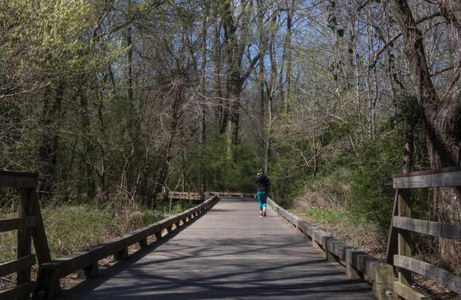 web Greenway Progress16