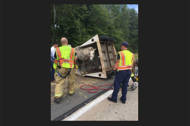 Screen Shot 2016-10-05 at 8.50.14 AM