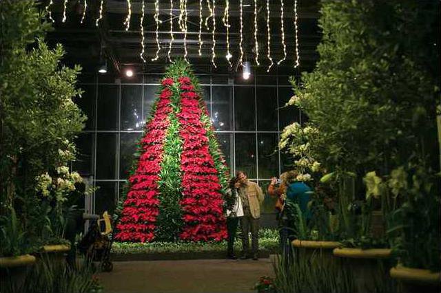 World Of Coca Cola Atlanta Botanical Garden Go All Out For Christmas Forsyth News