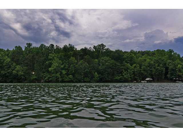 Body of missing swimmer recovered in Lake Lanier - Forsyth News
