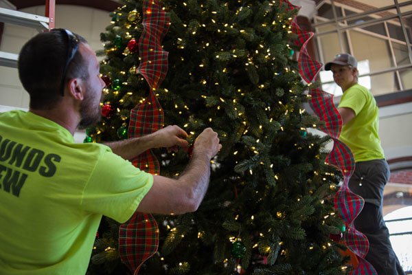 Forsyth County Administration tree