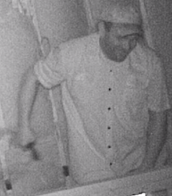 Trail Camera Suspect from Starwood Drive