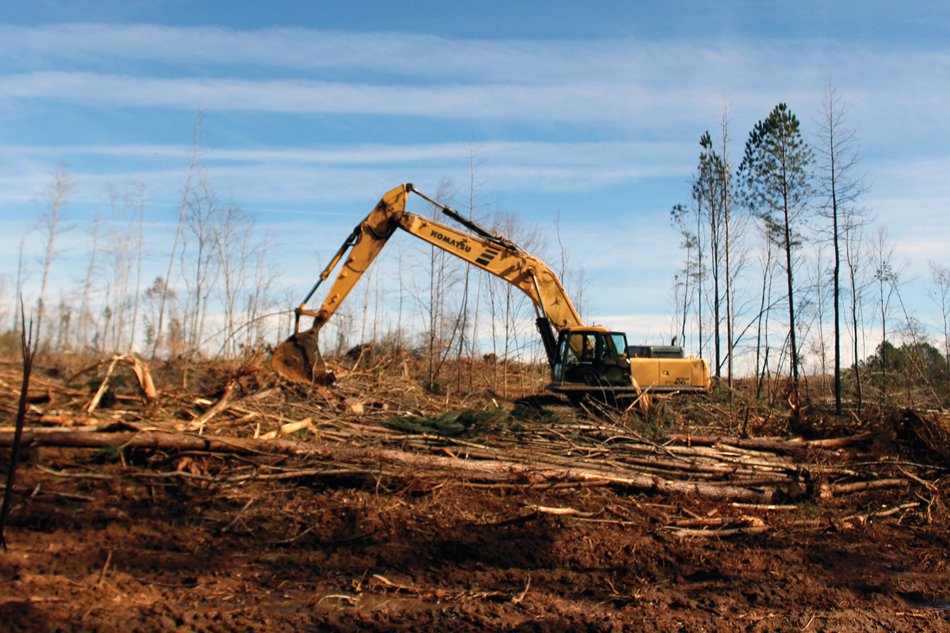 What another new “active adult” development says about Forsyth County