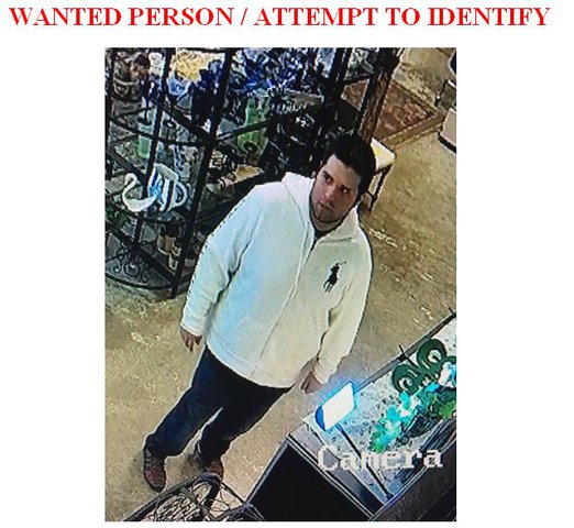 Cumming Police search for Humane Society donation thief - Forsyth News