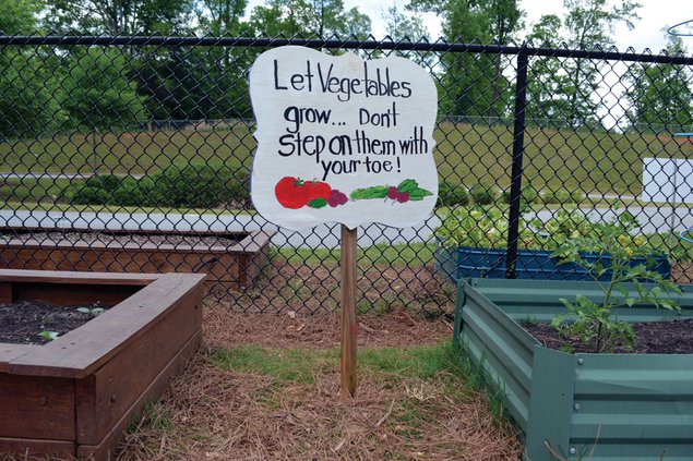 Kelly Mill Garden 1 050519 web