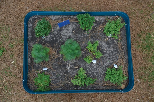 Kelly Mill Garden 2 050519 web