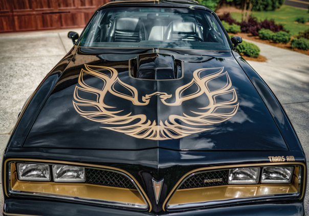 Bandit