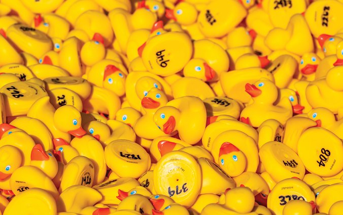 Ducks