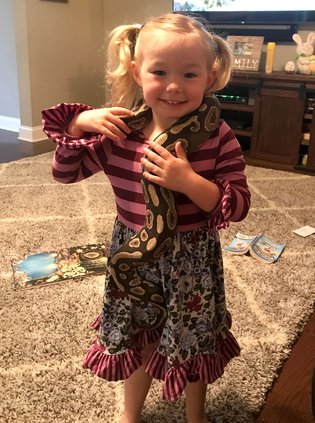 ball python