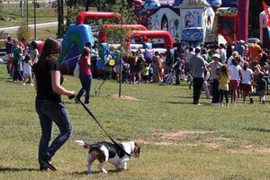 Play at the Park