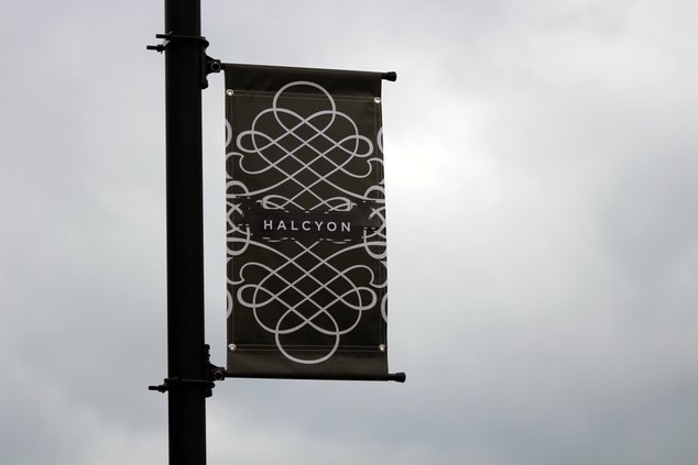 20190920_Halcyon_10_web.jpg