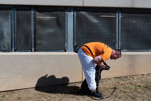 Jaildogs2_100419_web.jpg