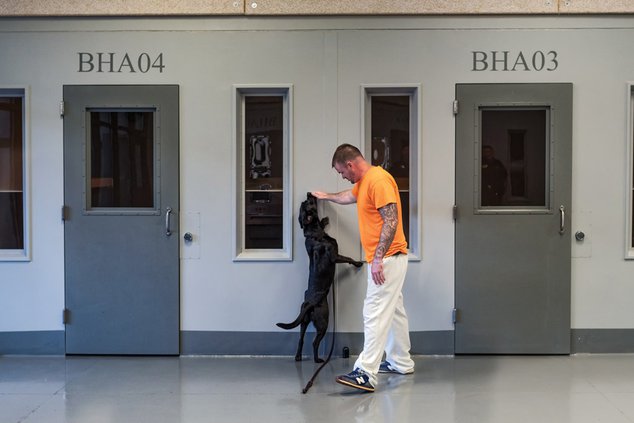 Jaildogs3_100419_web.jpg
