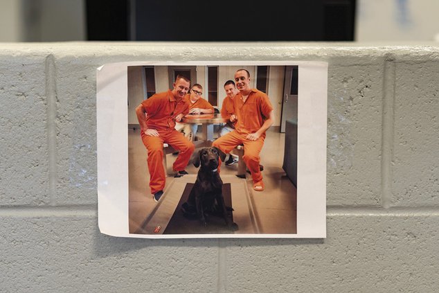 Jaildogs6_100419_web.jpg