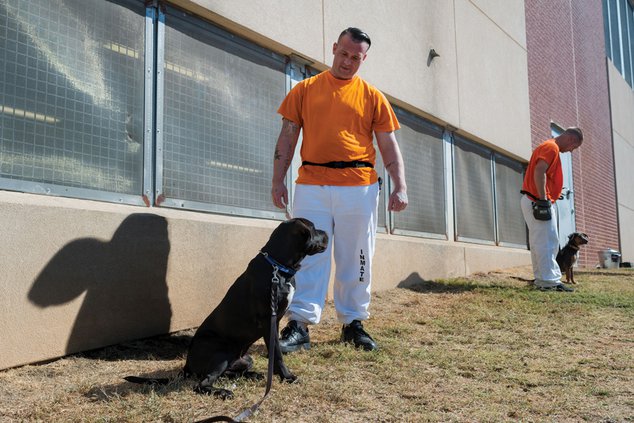 Jaildogs8_100419_web.jpg