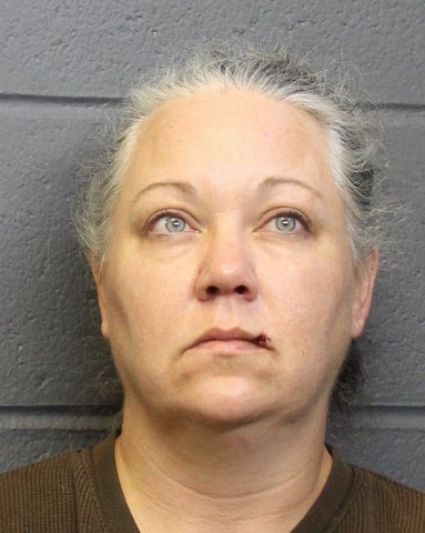 Forsyth County woman charged for firing gun during domestic incident ...