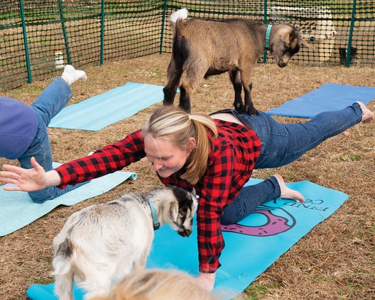 20191211_GoatYoga_4_web.jpg