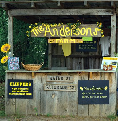 Anderson's sunflower farm