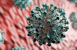 20200408_Coronavirus_1_web