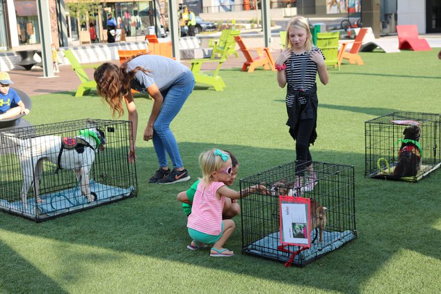 Yappy Hour