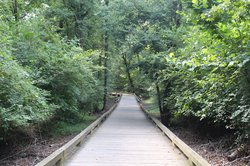 Big Creek Greenway