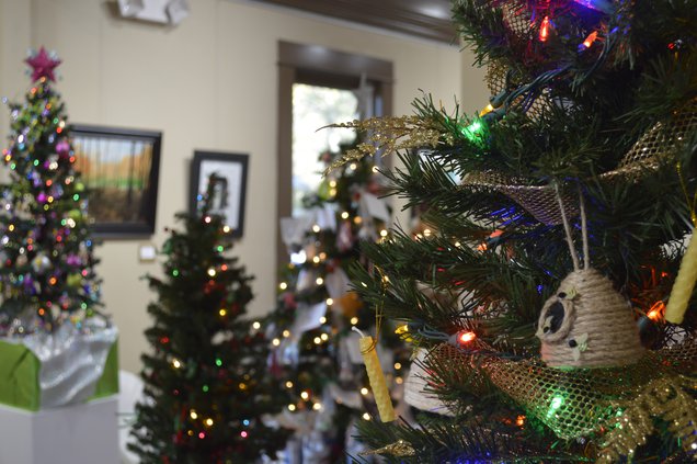 festival of trees