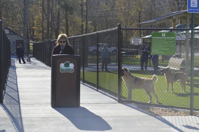coal mountain dog park