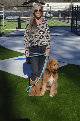 coal mountain dog park