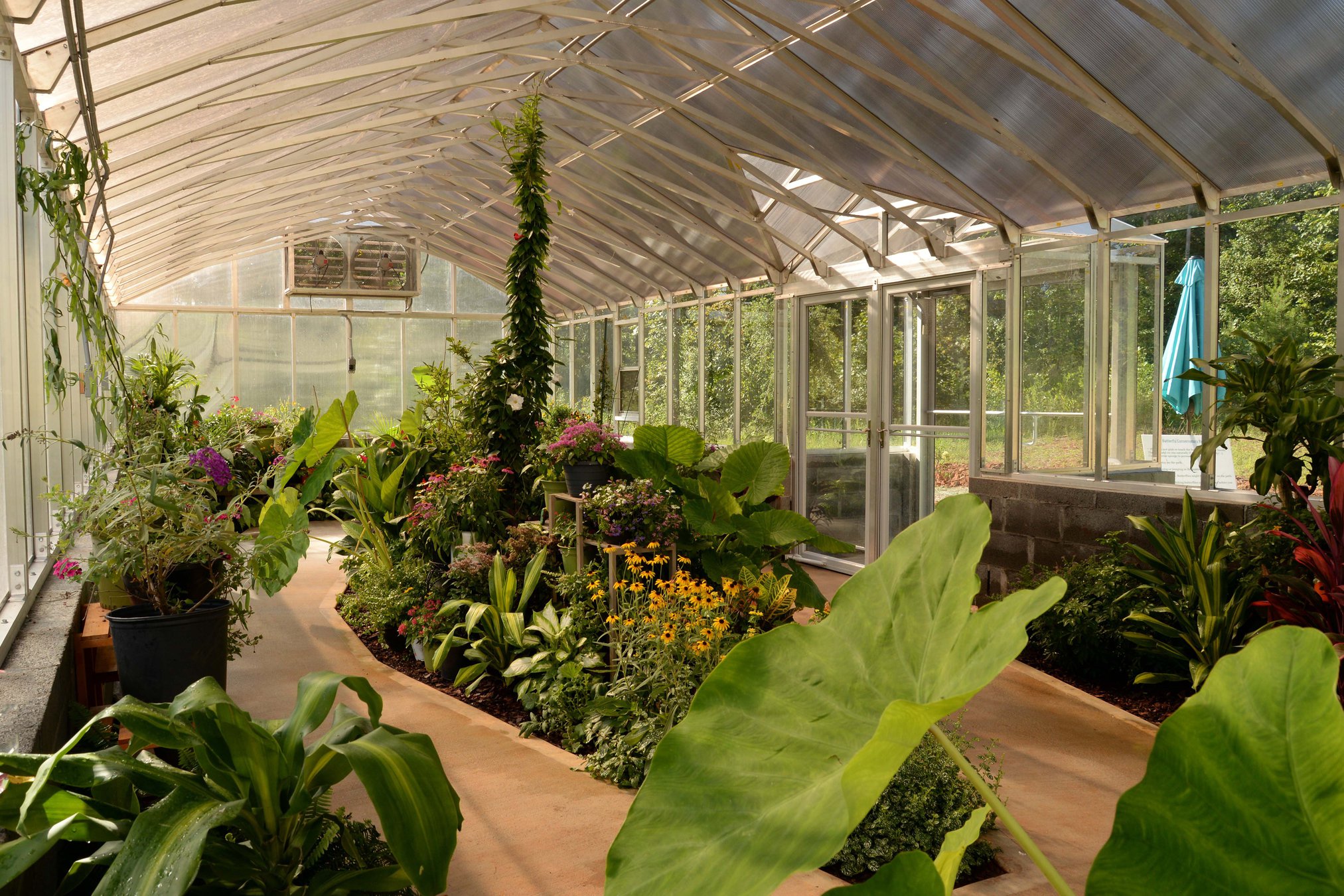 Dahlonega Butterfly Farm prepares for April reopening with more flowers