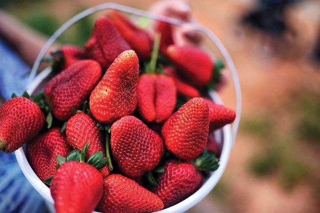 Strawberries