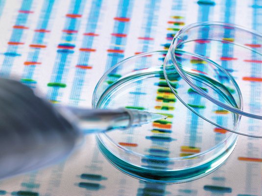 DNA