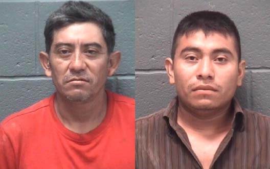 Stabbing Arrests