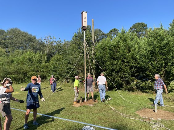 master naturalists bat houses