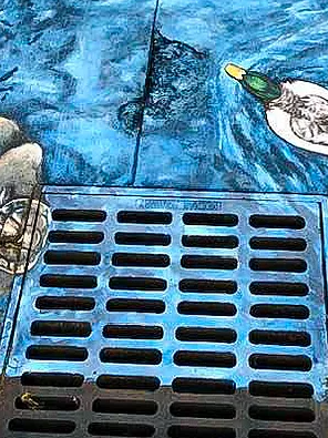 Storm Drain