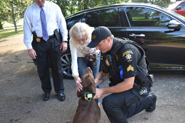 k9 buzz