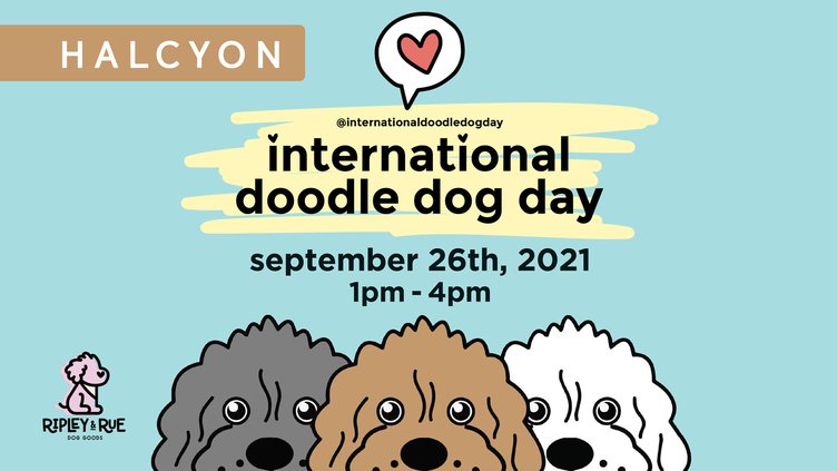 Doodle Dog Day