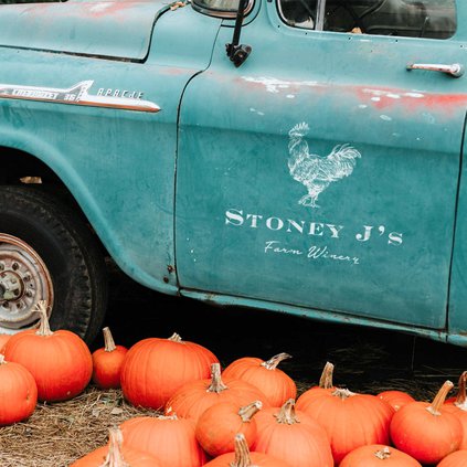 stoney j's fall