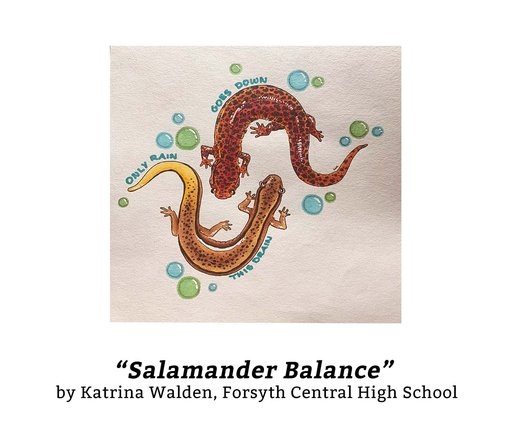 Salamander Balance