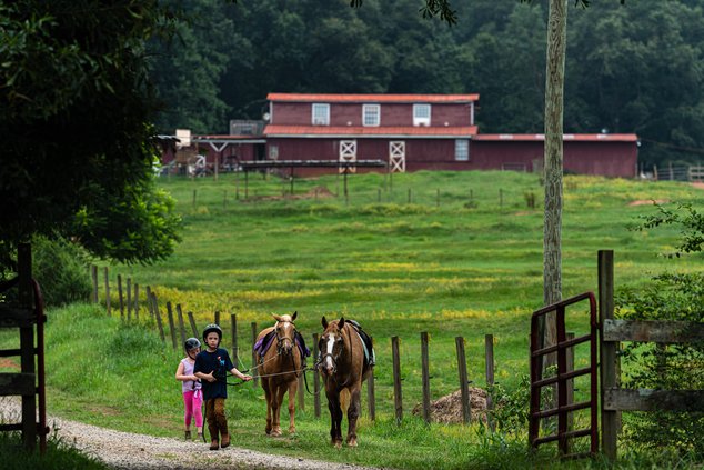 WildeWood Farm Inc.