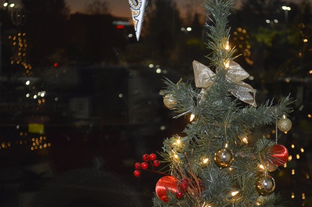 festival of trees