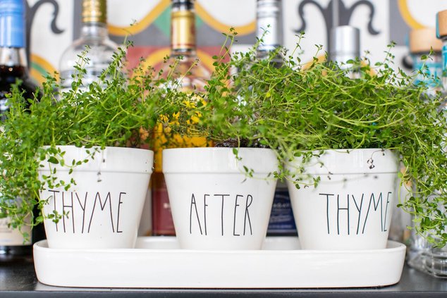 never enough thyme