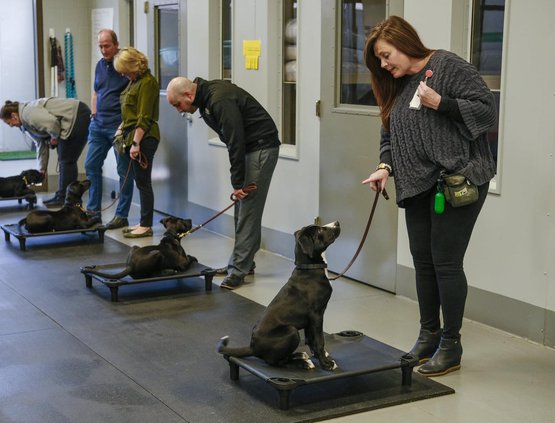 Pups with Purpose
