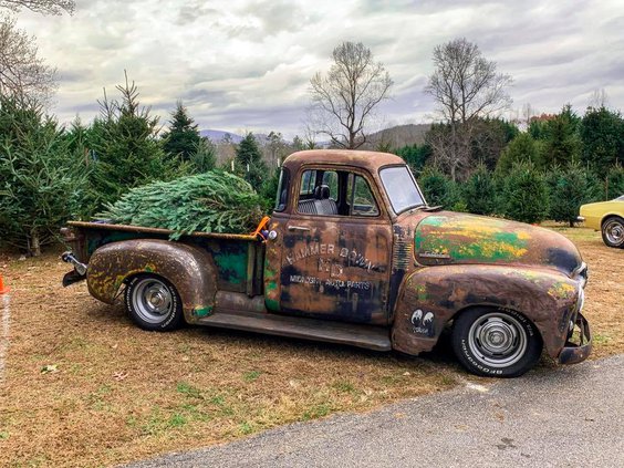 Holly Hill Christmas Tree Farm