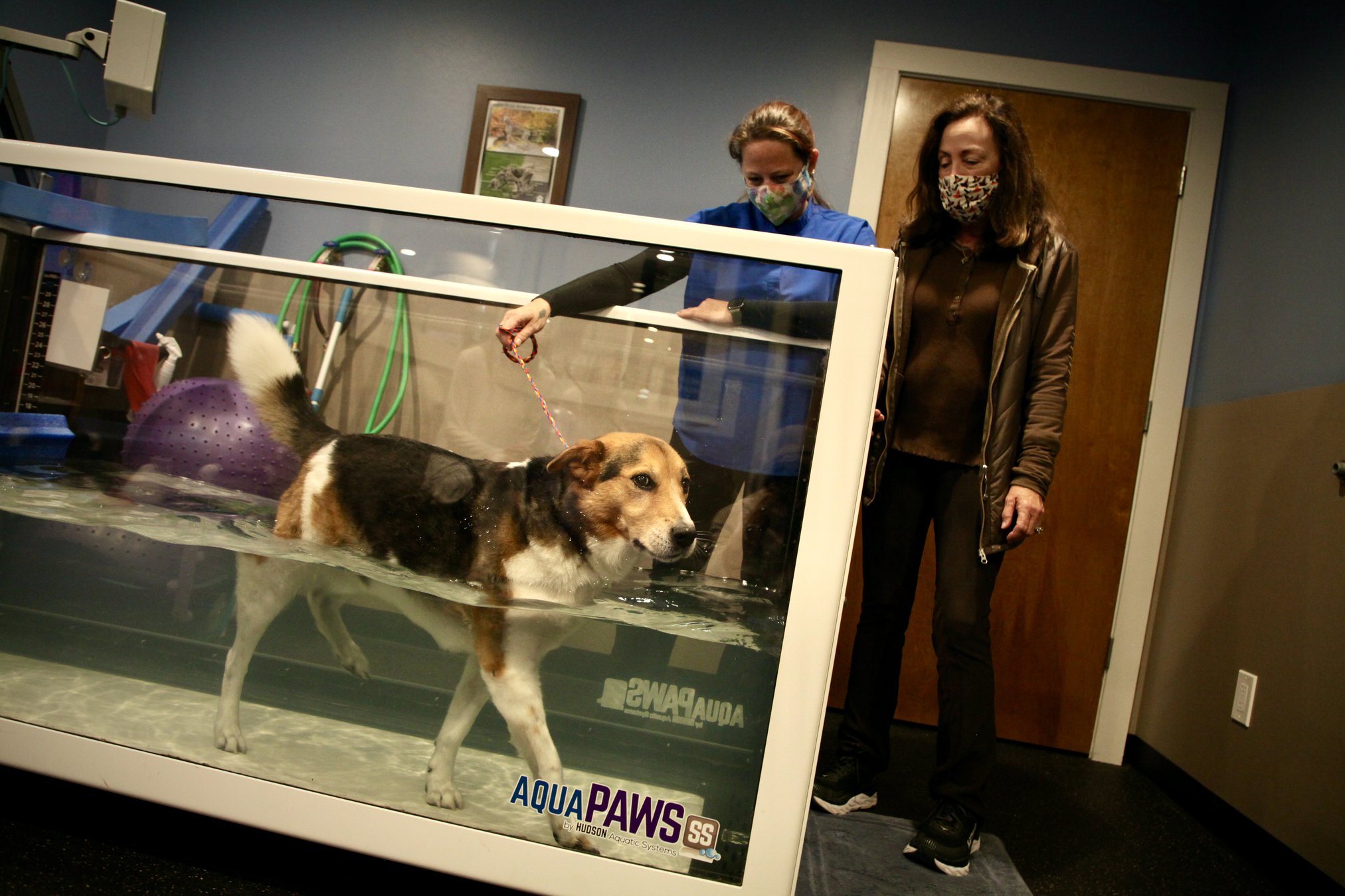 How one local animal clinic sets the industry standard for pet care