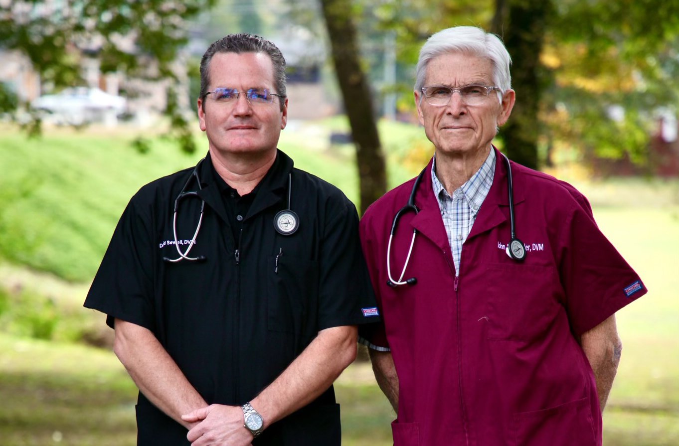 How one local animal clinic sets the industry standard for pet care