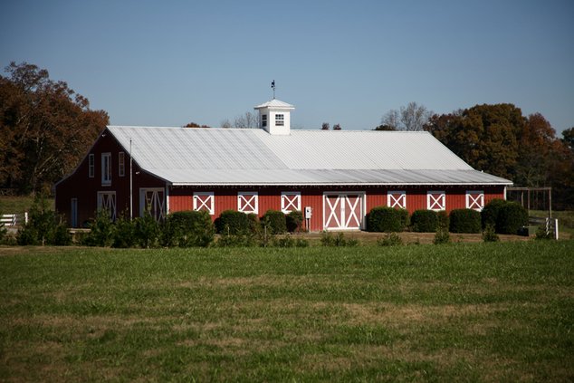 Bottoms Tree Farm