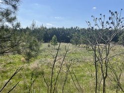 passport springs and spa