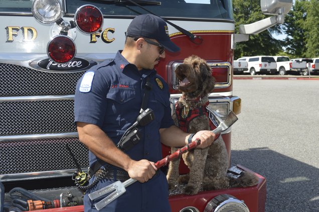 Hallie Fire K9