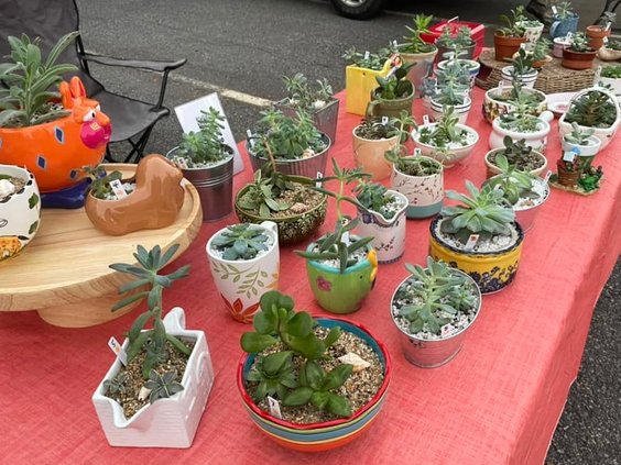 Cumming Farmers Market