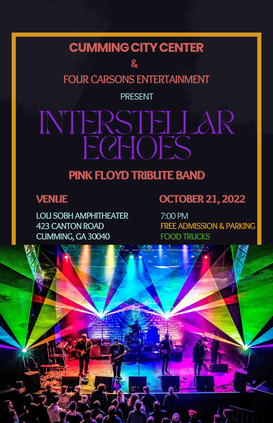 Interstellar Echoes